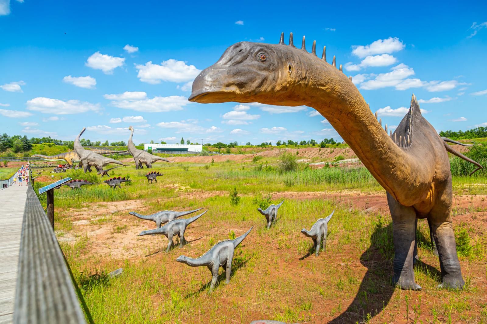 JuraPark Krasiejów
