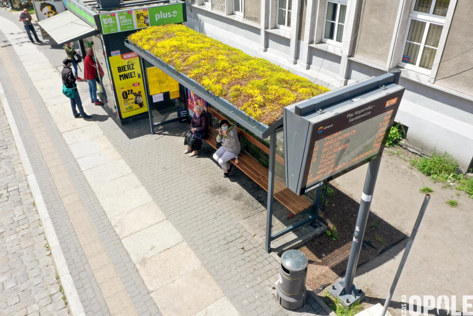 Zielony przystane, fot. W. Chojnacki