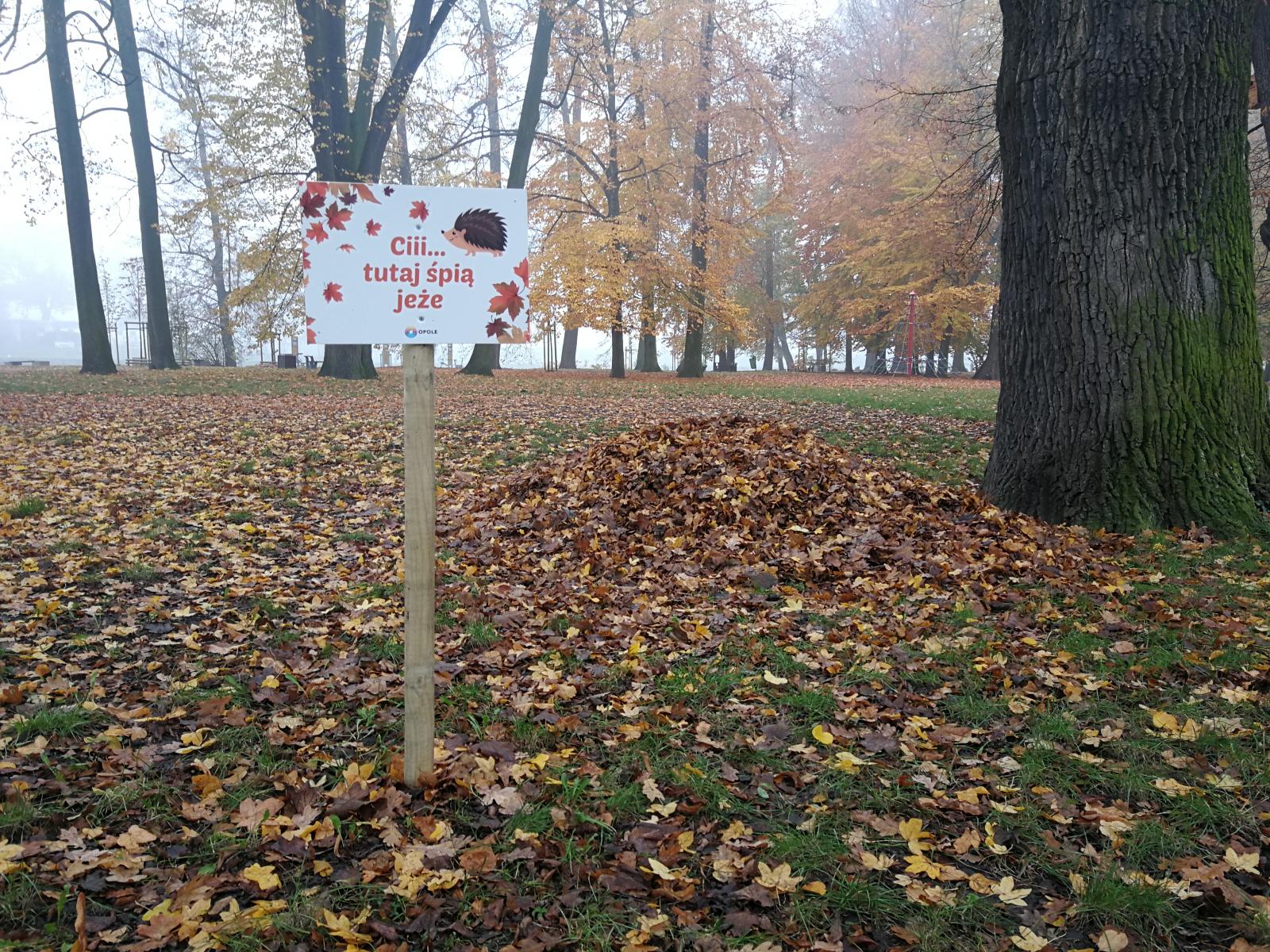 Zimowisko dla jeży