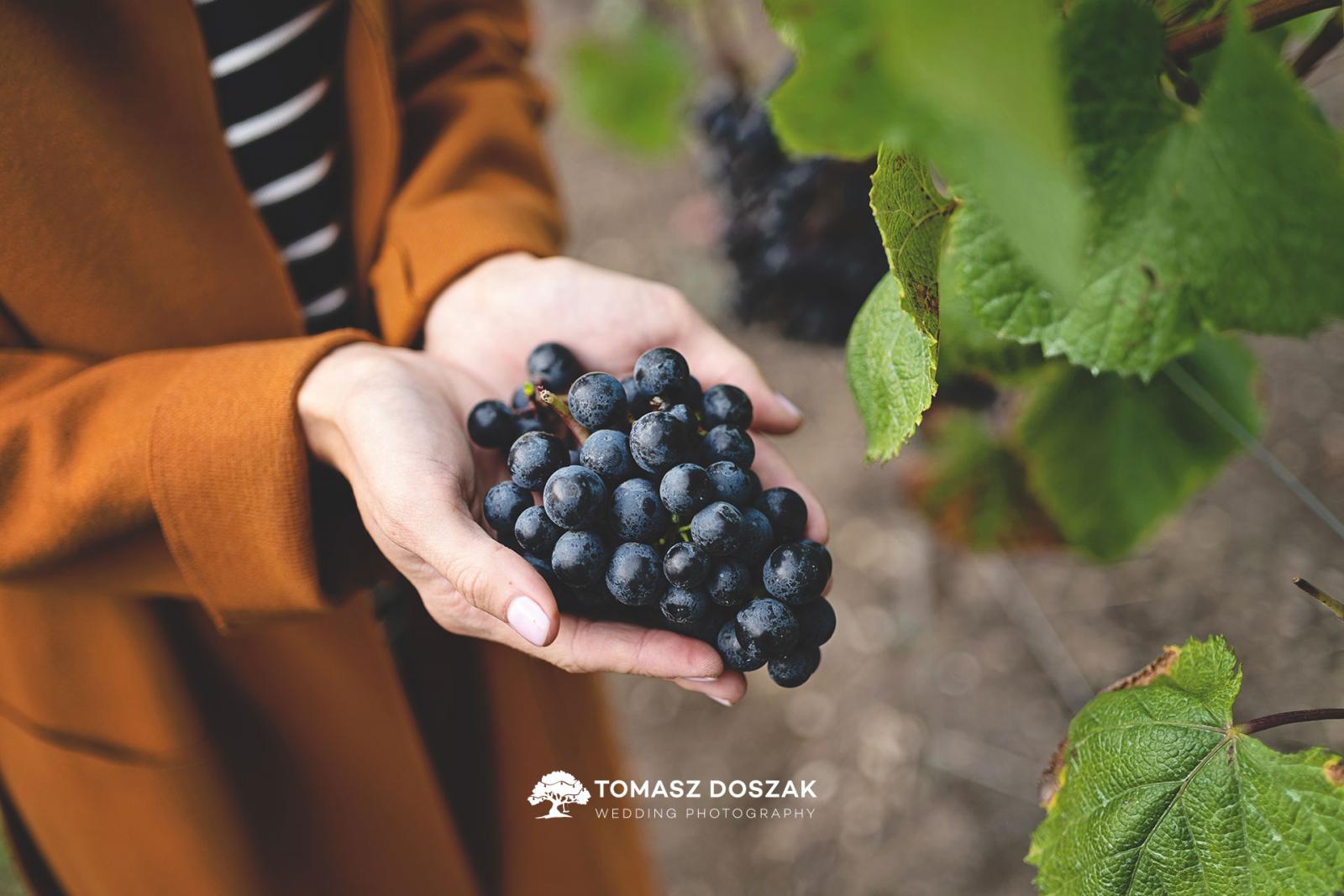 Fot.: Tomasz Doszak Fotografia