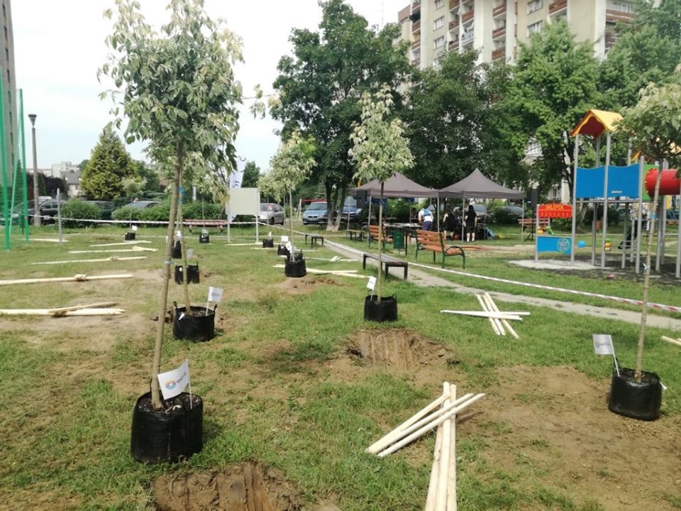 Nasadzenia drzew i krzewów na terenie rekreacyjno–wypoczynkowym przy ul. Prószkowskiej w Opolu.