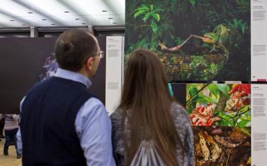 ludzie w galerii sztuki współczesnej