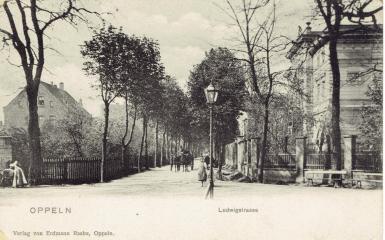Ludwigstrasse (obecnie ul. Powstańców Śląskich) – willowa ulica na Wyspie Pasieka