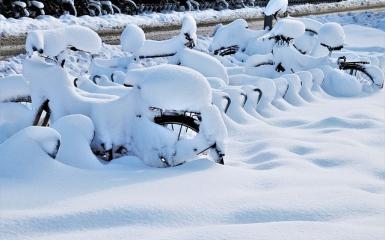 rowery zasypane śniegeim