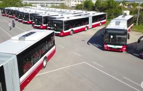 Autobus
