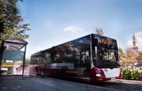 Autobus