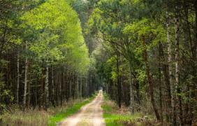 fot. Przemysław Supernak, SuperGlob
