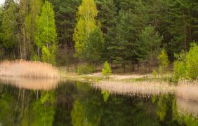 fot. Przemysław Supernak, SuperGlob